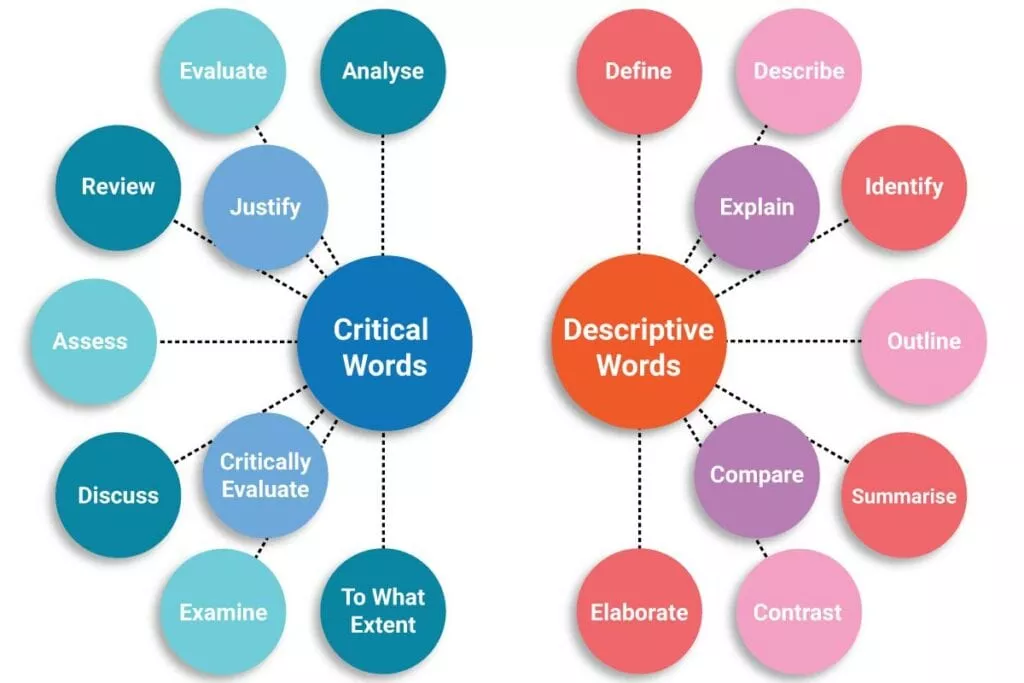 From Analyze to Evaluate: Decoding Essay Question Words for Academic Success